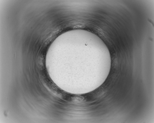 X0000102310215200808152049