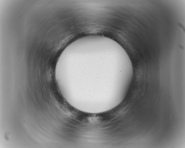 X0000102310216200808152049