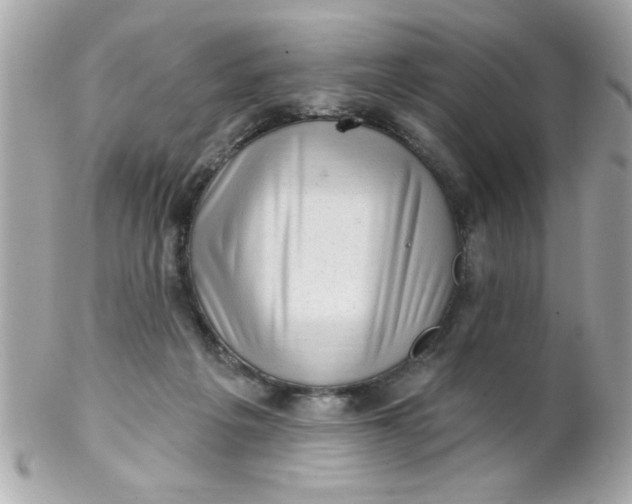 X0000102310217200808152049