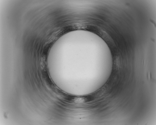 X0000102310218200808152049