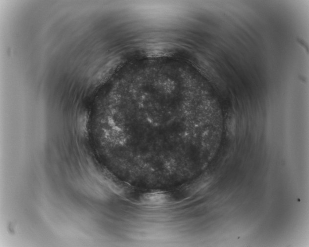 X0000102310219200808152049