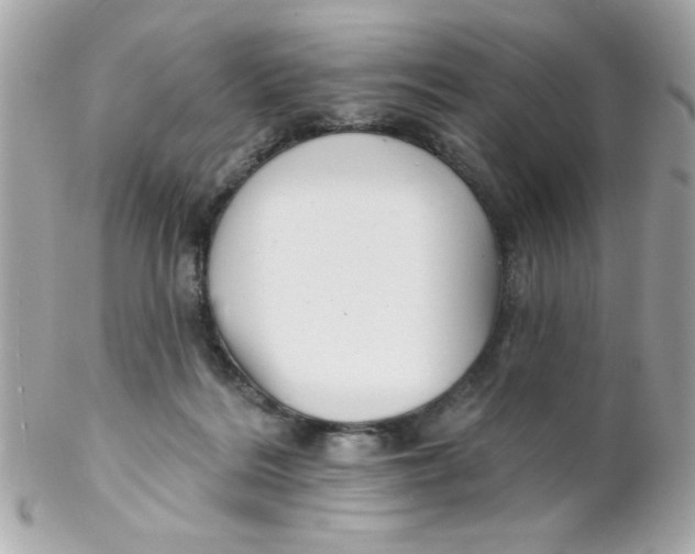X0000102310220200808152049