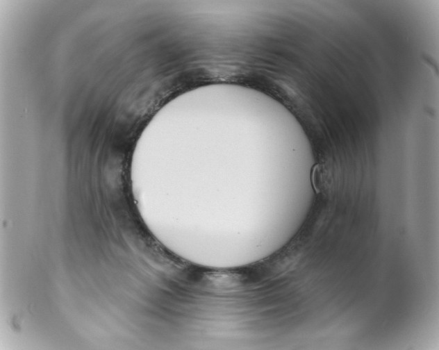 X0000102310221200808152049