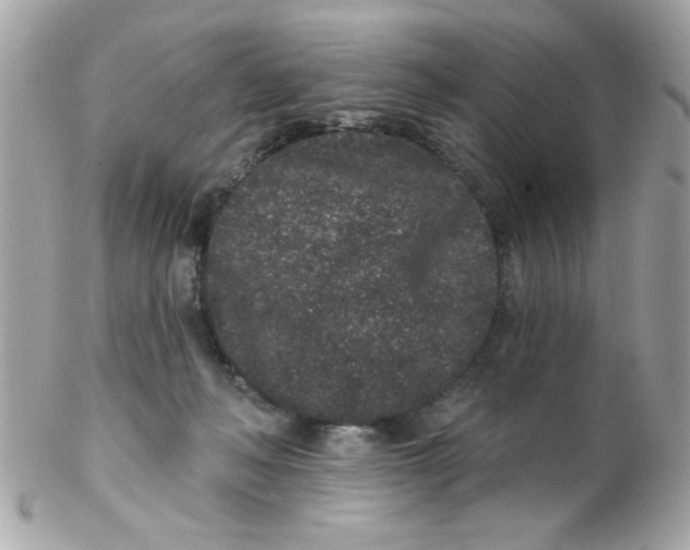 X0000102310222200808152049