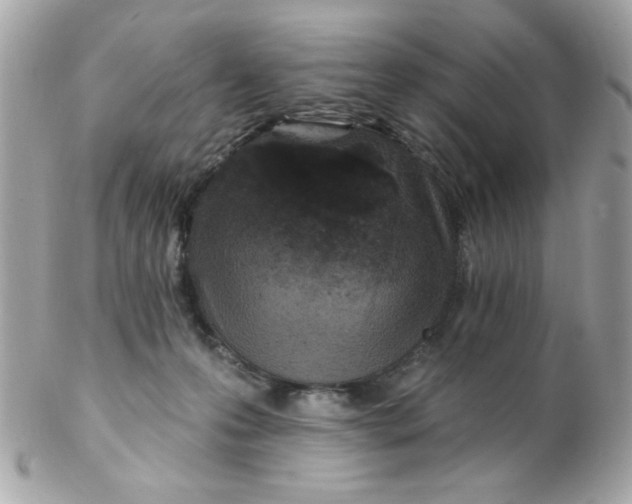 X0000102310223200808152049