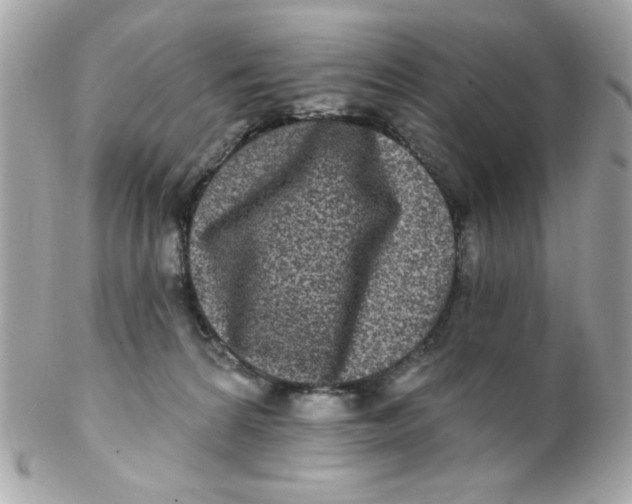 X0000102310224200808152049