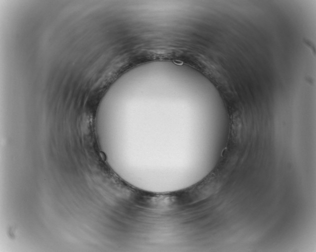 X0000102310225200808152049