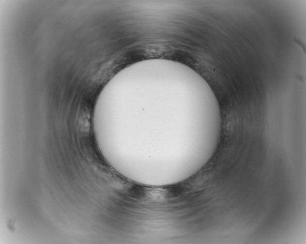 X0000102310226200808152049