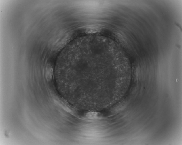X0000102310227200808152049
