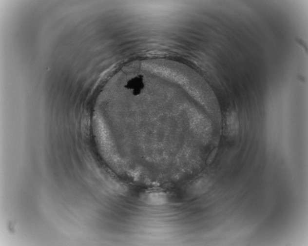 X0000102310228200808152049