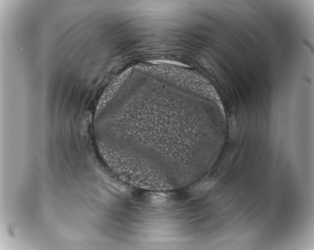 X0000102310229200808152049