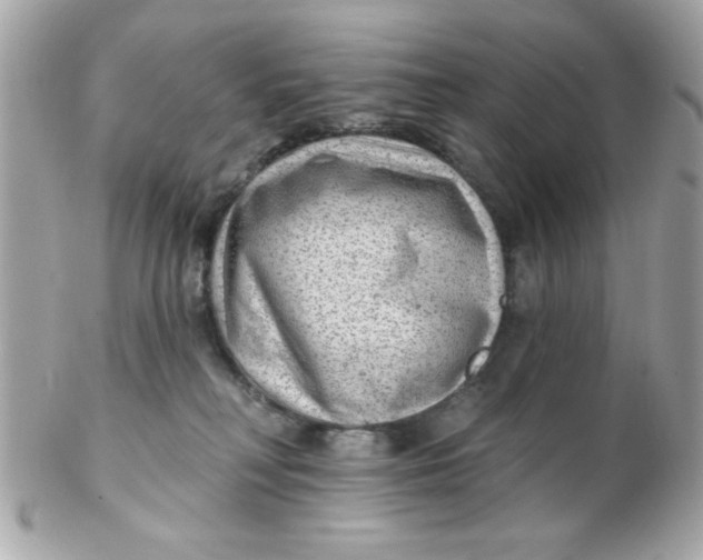 X0000102310230200808152049