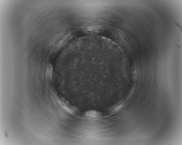 X0000102310231200808152049