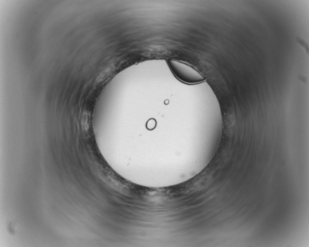 X0000102310232200808152049
