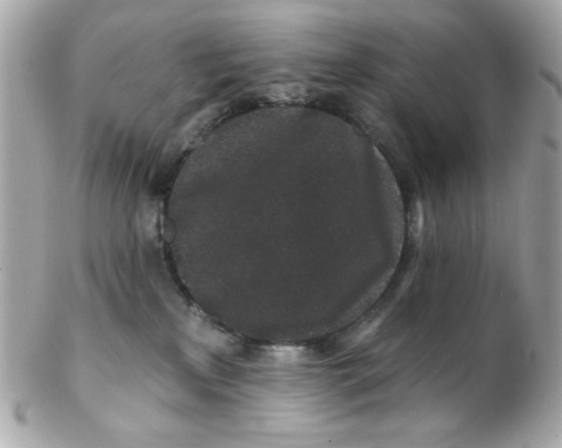 X0000102310233200808152049