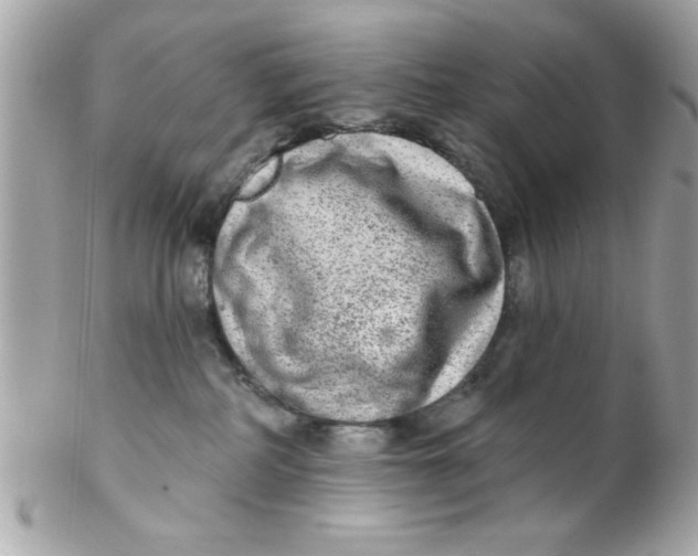 X0000102310234200808152049