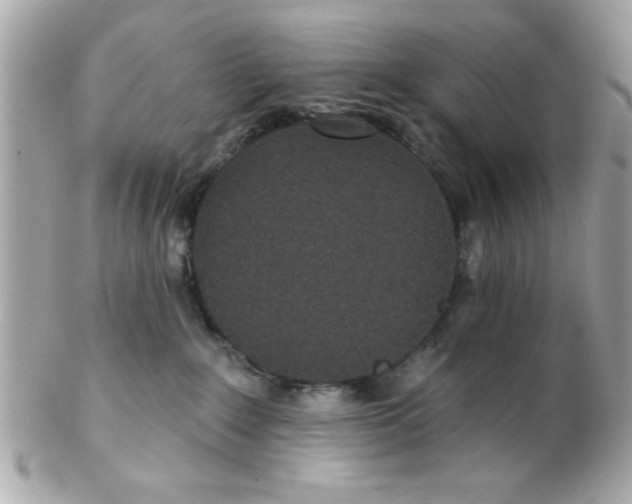 X0000102310235200808152049