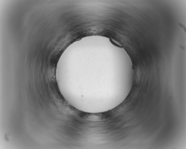 X0000102310236200808152049