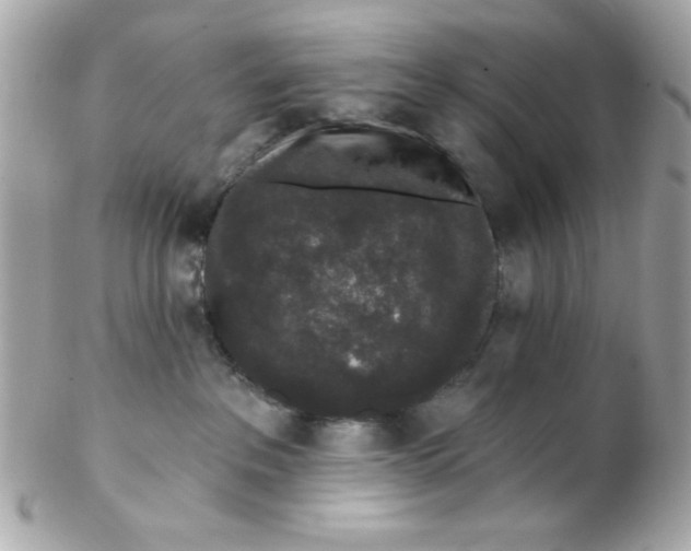 X0000102310237200808152049