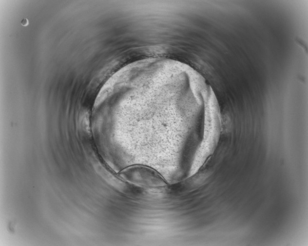 X0000102310238200808152049