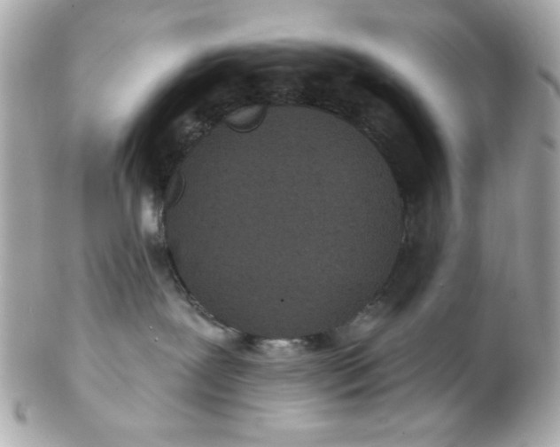 X0000102310239200808152049