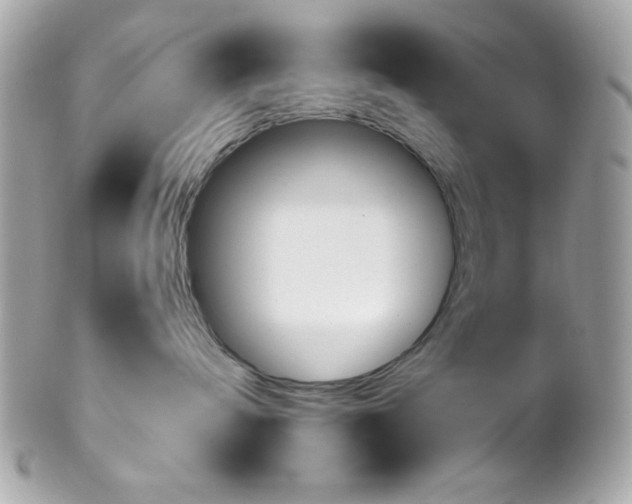 X0000102310240200808152049