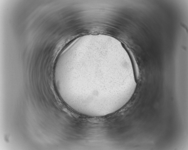 X0000102310241200808152048