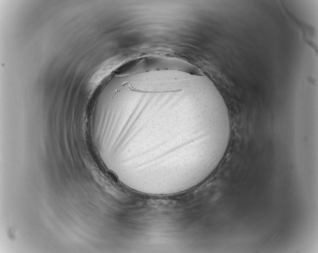 X0000102310242200808152048