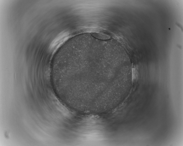 X0000102310243200808152048