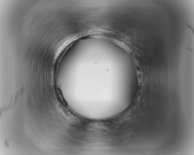 X0000102310244200808152048