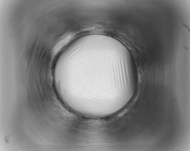 X0000102310245200808152048