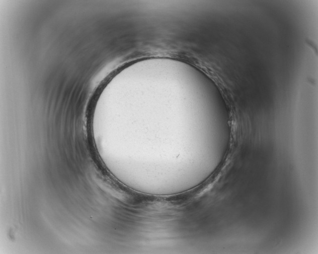 X0000102310246200808152048
