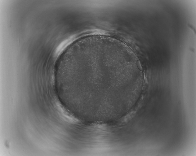 X0000102310247200808152048
