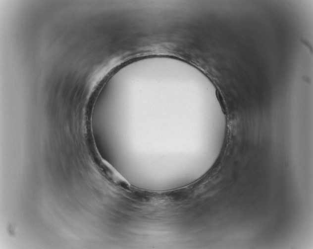 X0000102310248200808152048