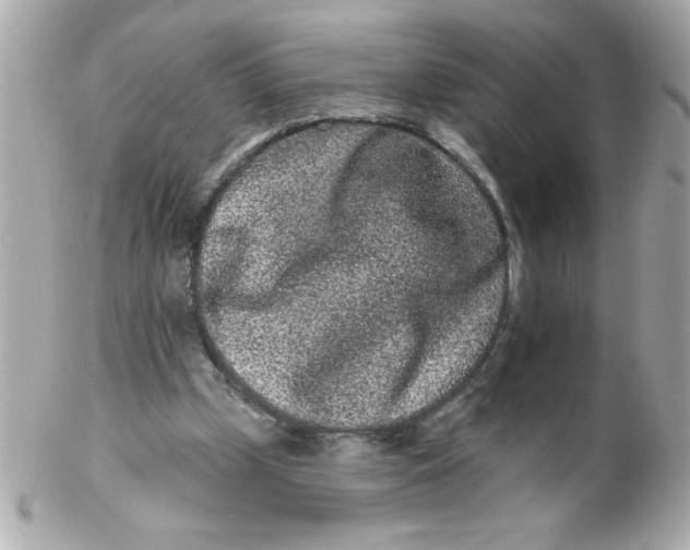 X0000102310249200808152048