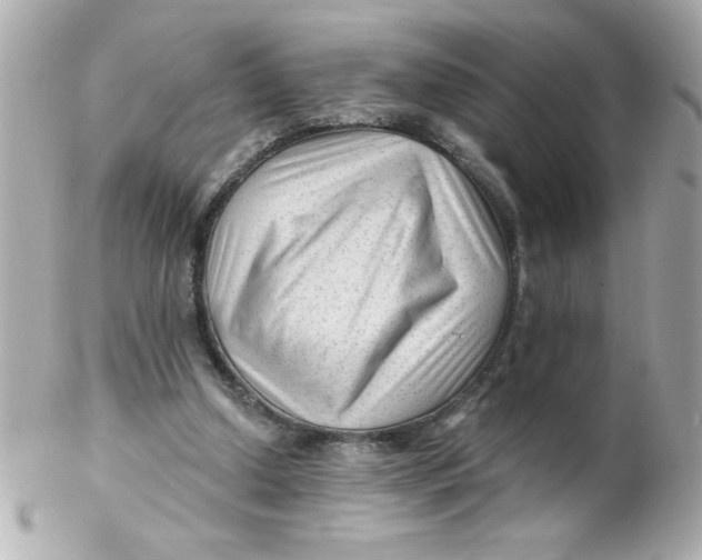 X0000102310250200808152048