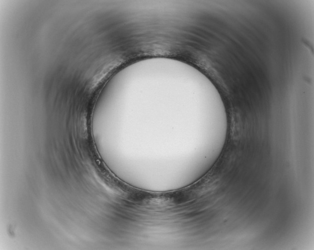 X0000102310251200808152048
