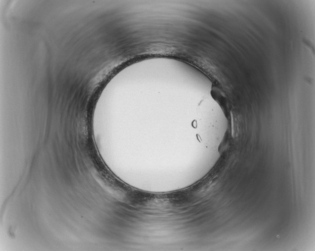 X0000102310252200808152048
