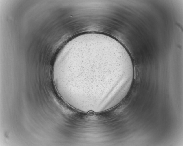 X0000102310253200808152048