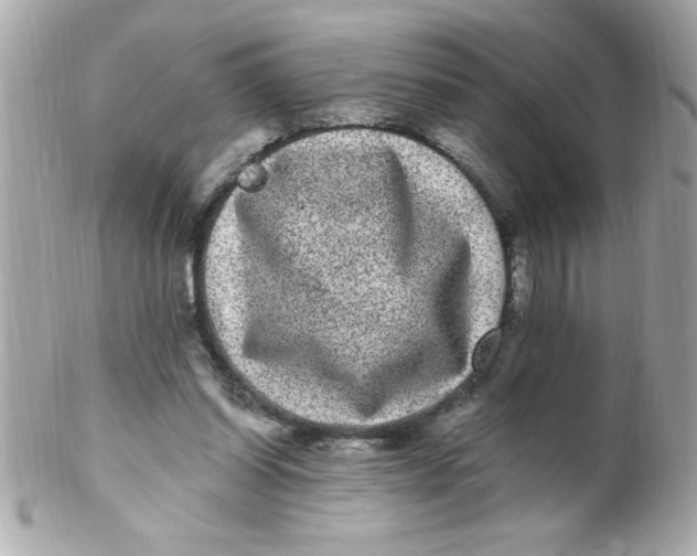 X0000102310254200808152048