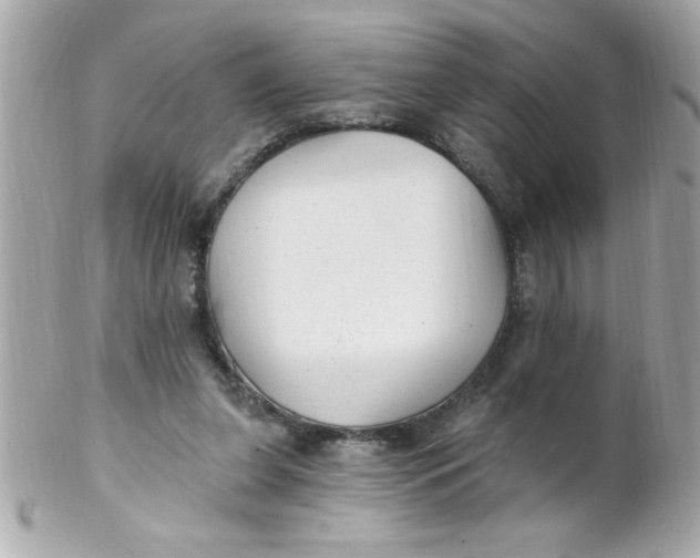 X0000102310255200808152048