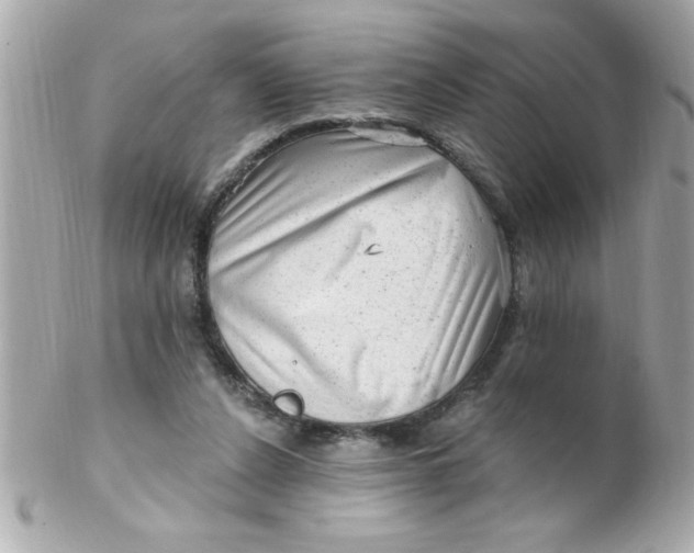 X0000102310256200808152048