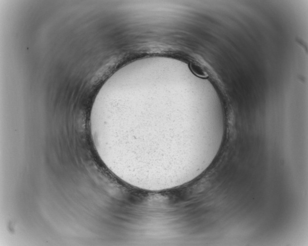 X0000102310257200808152048