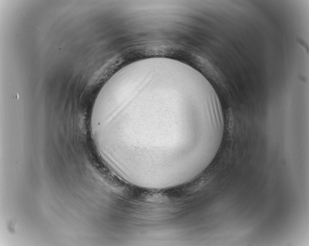 X0000102310258200808152048