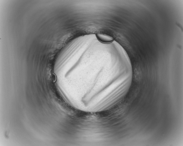 X0000102310259200808152048
