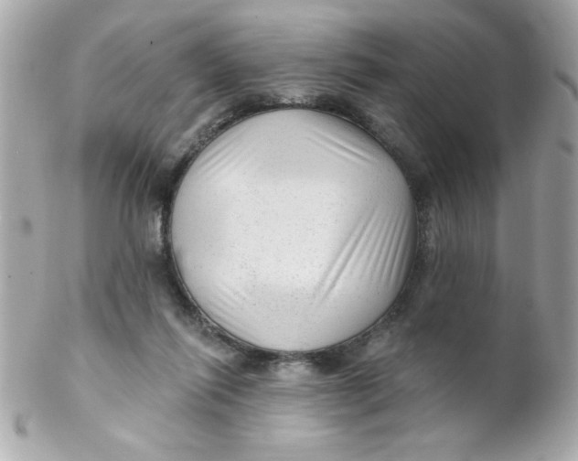 X0000102310262200808152048