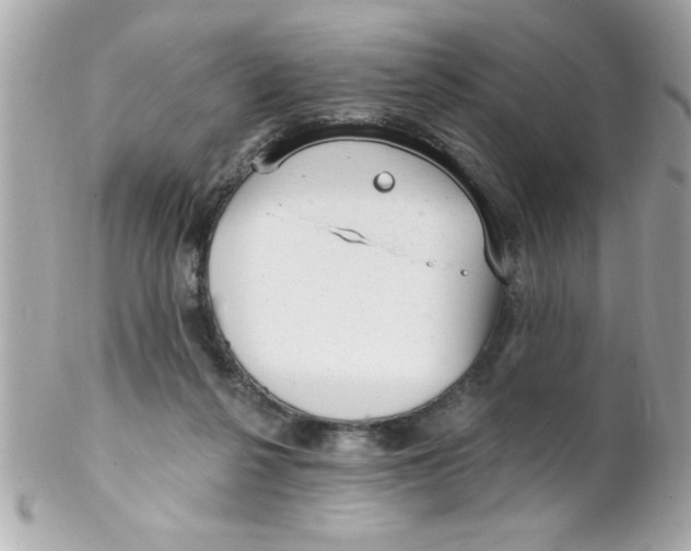 X0000102310264200808152048
