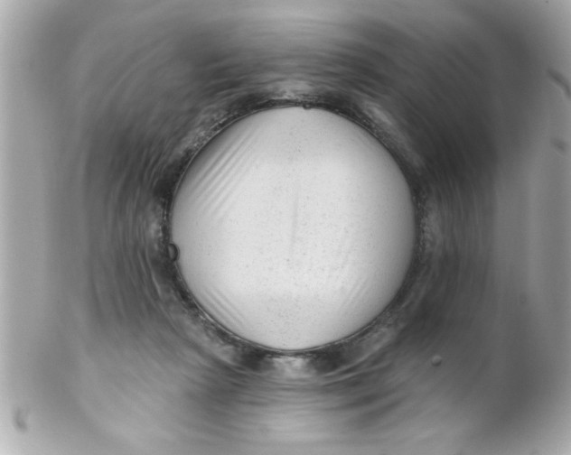 X0000102310265200808152048