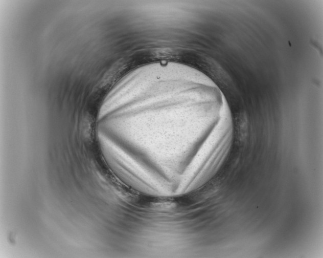 X0000102310266200808152048