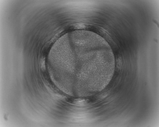 X0000102310267200808152048